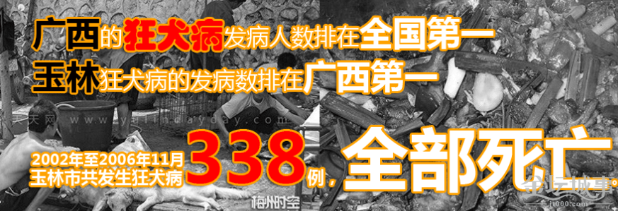 QQͼ20150619095957.png