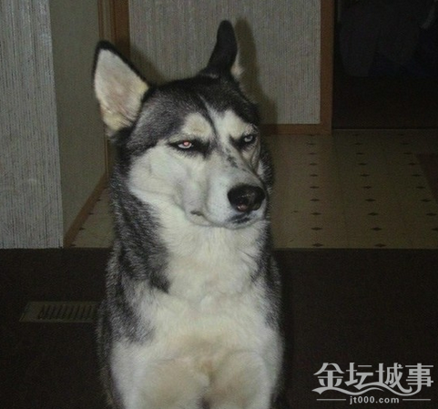 QQͼ20150701111222.png