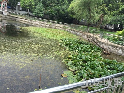 QQͼƬ20150715092608.jpg