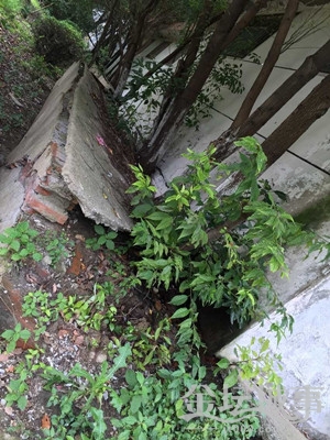 QQͼƬ20150715092623.jpg