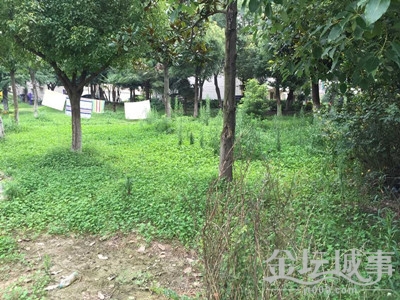 QQͼƬ20150715092619.jpg