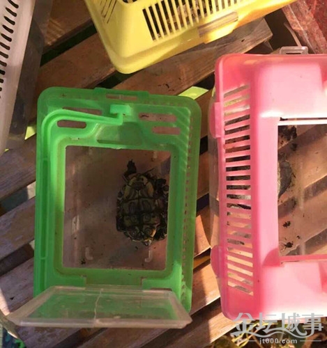 QQͼƬ20150730102741.jpg