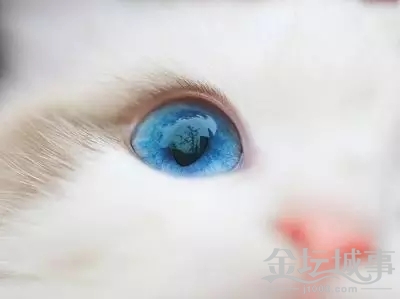 2.webp.jpg