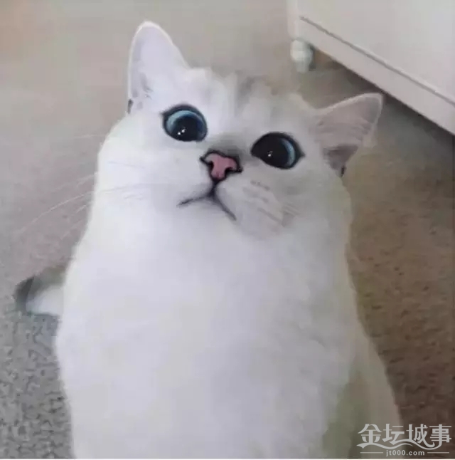 6.webp.jpg