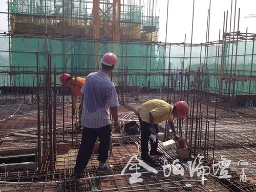001aa02cb92a118dab2915.jpg