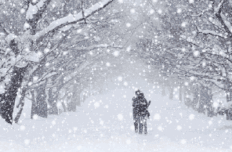 3.gif