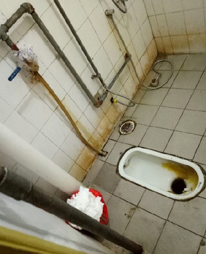 160012eltptsv6me33j422.png