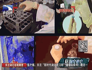 7.gif