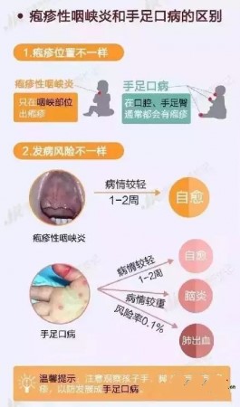 5_.jpg