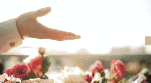 640 (3).gif